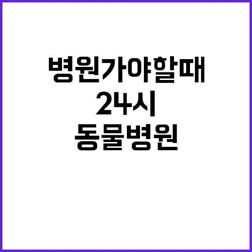 24시동물병원 가야 할 때와 전화로 먼저 확인하는 방법 - 요약