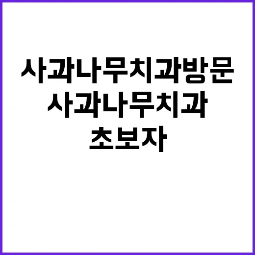 사과나무치과 방문 전 초보자가 확인하는 방법 - 요약