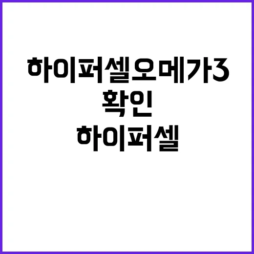 하이퍼셀오메가3 고르려면 이렇게 확인하세요 - 요약