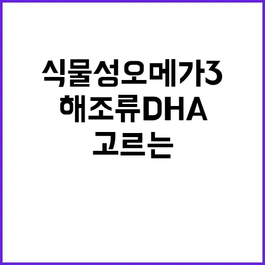식물성오메가3 고르는 방법, ALA와 해조류 DHA까지 이렇게 보세요 - 요약