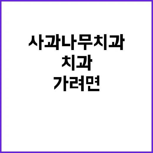 사과나무치과 처음 가려면 이렇게 확인하세요 - 요약