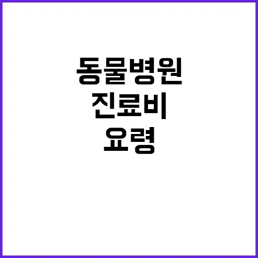 동물병원 처음 가기 전 준비하는 방법과 진료비 물어보는 요령 - 요약