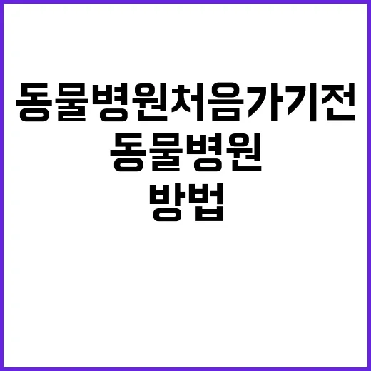 동물병원 처음 가기 전 준비하는 방법 - 요약