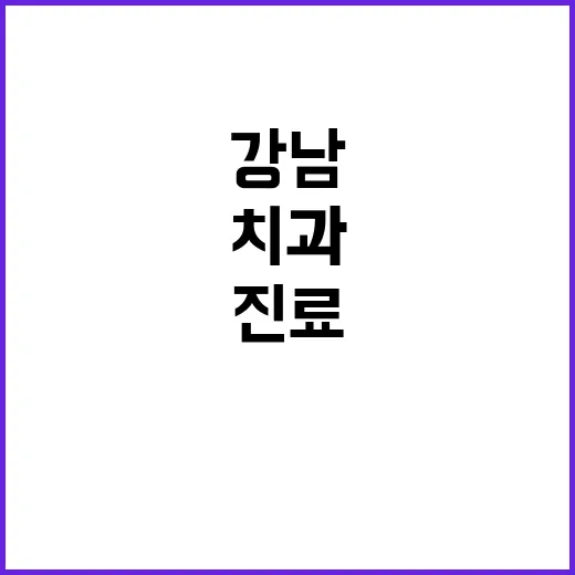 강남치과 처음 고를 때 비용·진료계획 확인하는 방법 - 요약
