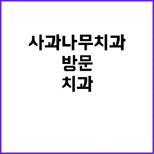 사과나무치과 처음 방문하려면 이렇게 준비하세요 - 요약