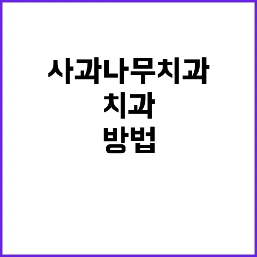 사과나무치과 처음 가기 전 확인하는 방법 - 요약