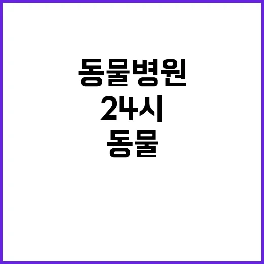24시동물병원 가기 전 준비하는 방법, 급한 상황에서 덜 헤매려면 이렇게 - 요약