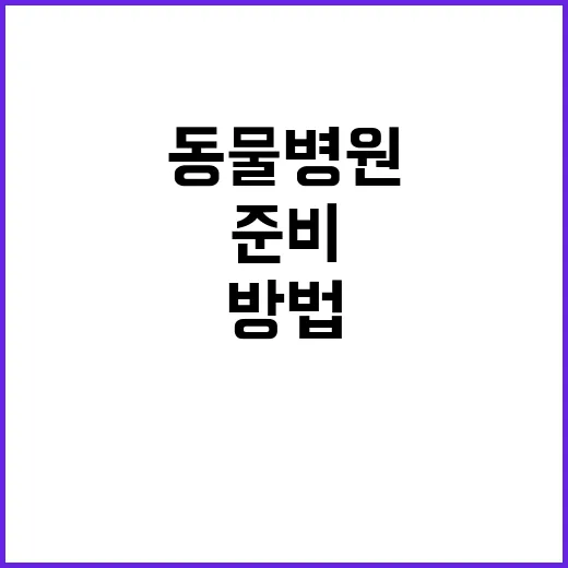 동물병원 처음 가려면 이렇게 준비하는 방법 - 요약