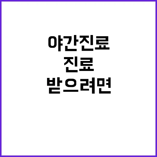야간진료 받으려면 이렇게 준비하면 덜 헤맵니다 - 요약