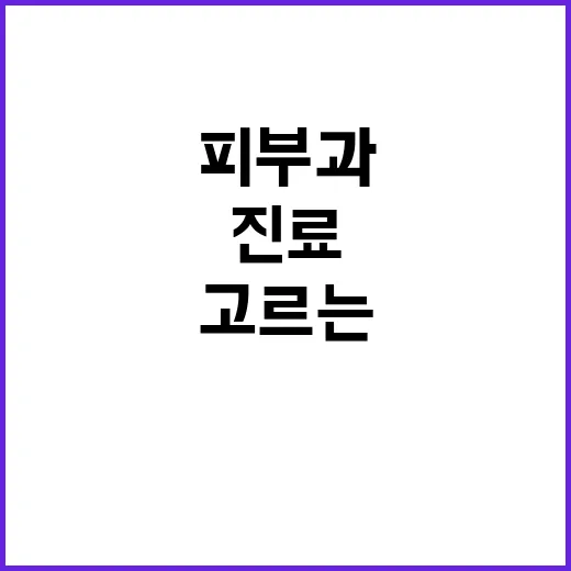서울피부과 처음 고르는 방법, 진료 전 확인할 것들 - 요약