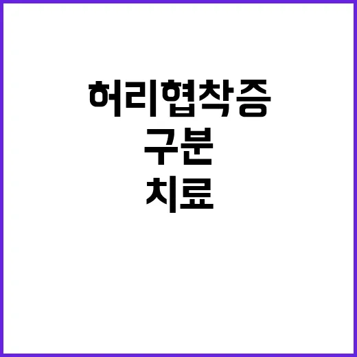 허리협착증치료 시작하려면 이렇게 구분하세요 - 요약