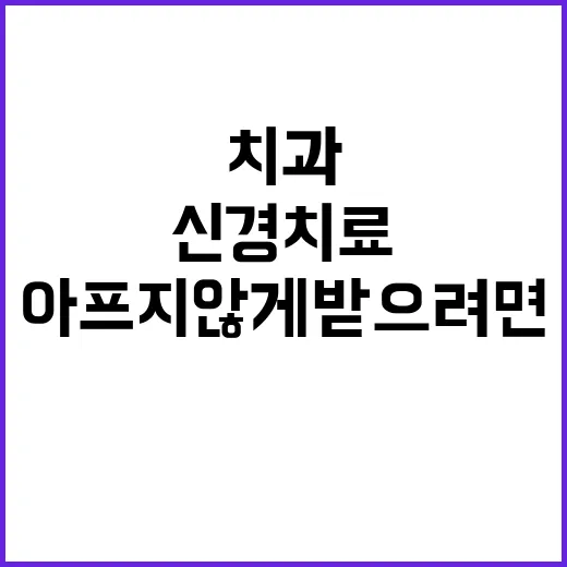치과신경치료 아프지 않게 받으려면 이렇게 준비하세요 - 요약