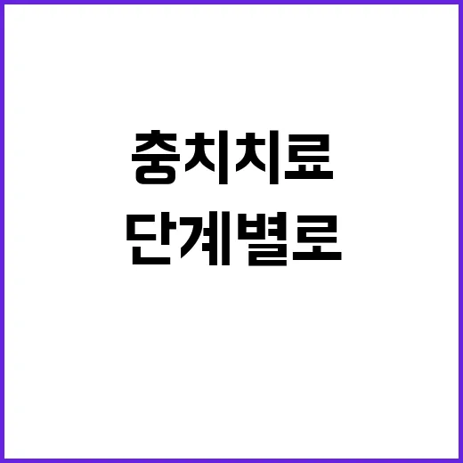 충치치료 덜 미루고 받는 방법, 단계별로 이렇게 이해하면 쉽습니다 - 요약