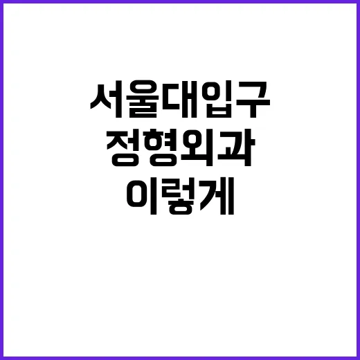 서울대입구정형외과 처음 가려면 이렇게 준비하면 덜 헤맵니다 - 요약