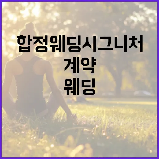 합정 웨딩시그니처 계약 전 확인하는 방법, 동선부터 비용까지 이렇게 보세요 - 요약
