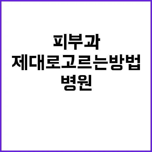피부과병원 제대로 고르는 방법, 초진 전에 확인할 것들 - 요약