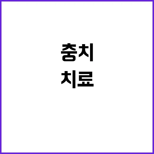 인레이치료 받기 전 확인하는 방법, 충치가 애매할 때 이렇게 판단하세요 - 요약