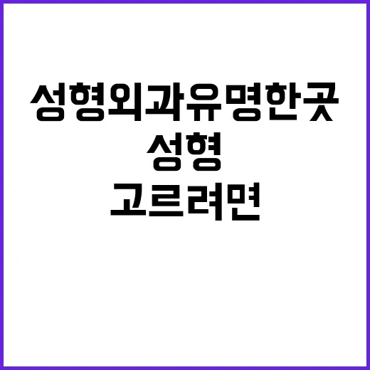 성형외과유명한곳 고르려면 이렇게 확인하세요 - 요약