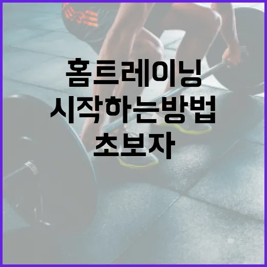 홈트레이닝 초보자가 무리 없이 시작하는 방법 - 요약