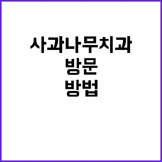 사과나무치과 처음 방문하려면 이렇게 준비하는 방법 - 요약