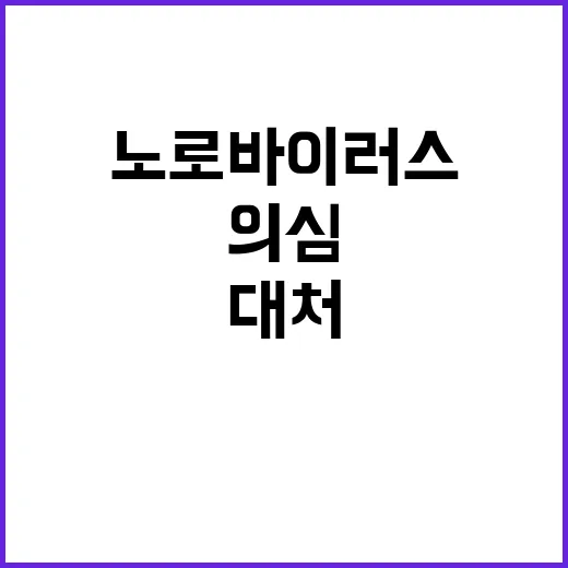 노로바이러스 의심될 때 집에서 대처하는 방법 - 요약