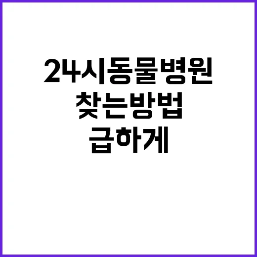 24시동물병원 급하게 가야 할 때 찾는 방법과 전화로 확인할 것 - 요약