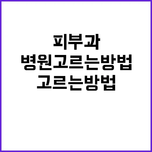 초보자를 위한 피부과병원 고르는 방법 - 요약