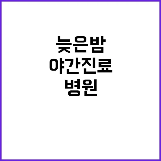 야간진료 이용하는 방법, 늦은 밤 병원 찾을 때 이렇게 움직이세요 - 요약