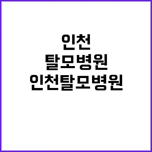 인천탈모병원 고르려면 이렇게 확인하세요 - 요약
