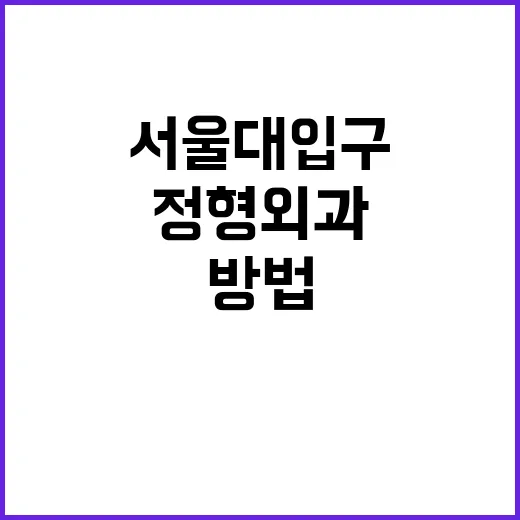 서울대입구정형외과 처음 가려면 이렇게 준비하는 방법 - 요약