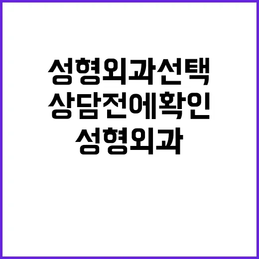 서울성형외과 선택하는 방법, 상담 전에 확인할 것들 - 요약