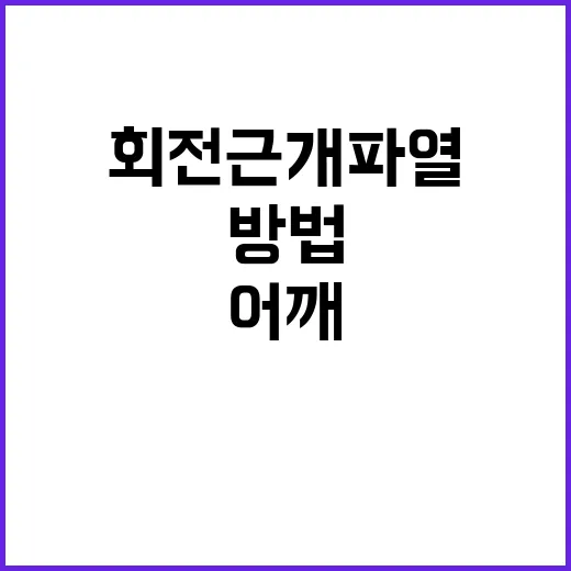 어깨회전근개파열수술 고민할 때 확인하는 방법 - 요약