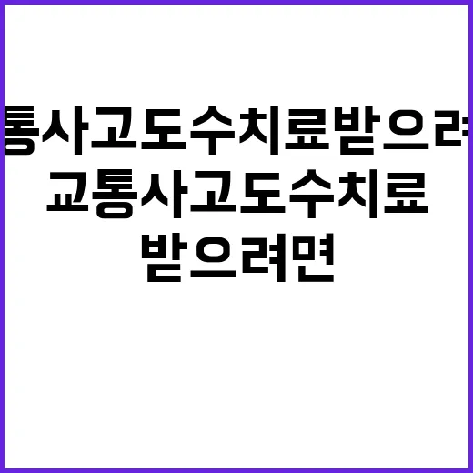 교통사고도수치료 받으려면 이렇게 준비하면 됩니다 - 요약