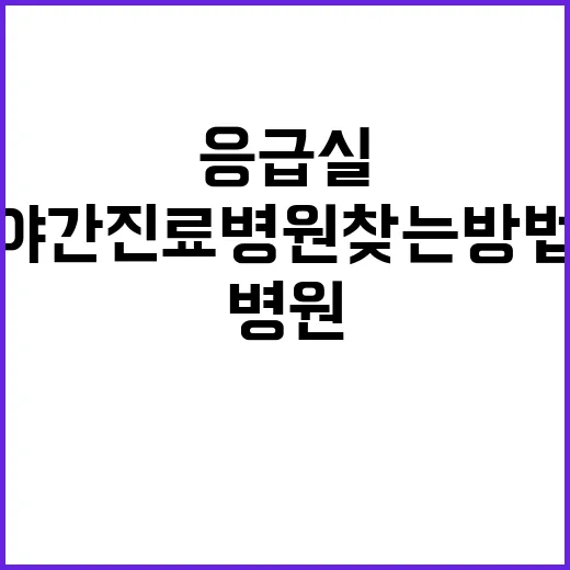 야간진료 병원 찾는 방법, 응급실 가기 전 이렇게 확인하세요 - 요약