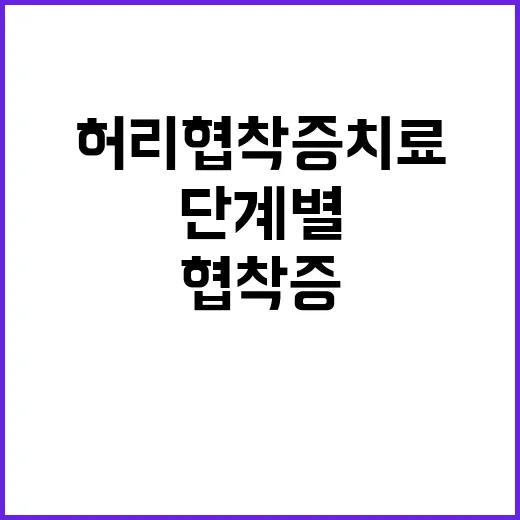 허리협착증치료 시작하려면 이렇게 단계별로 보세요 - 요약