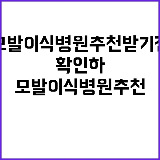 모발이식병원추천 받기 전 초보자가 확인하는 방법 - 요약