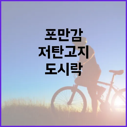 저탄고지도시락 준비하는 방법, 혈당과 포만감까지 생각한다면 이렇게 - 요약