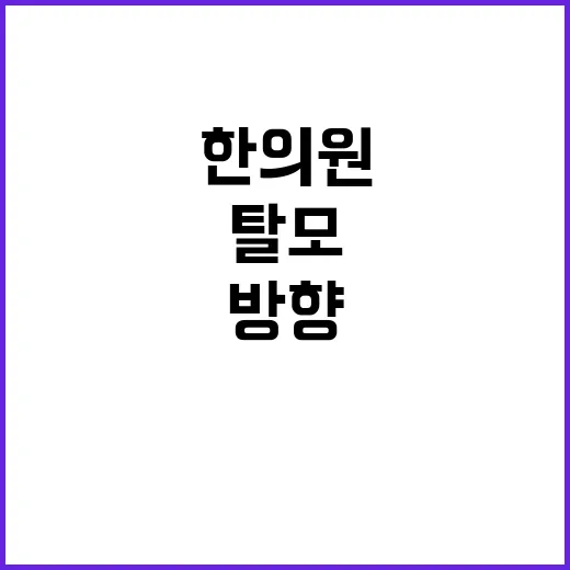 탈모한의원 가기 전 증상과 진료 방향 확인하는 방법 - 요약