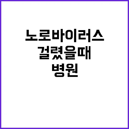 노로바이러스 걸렸을 때 집에서 대처하는 방법과 병원 가야 하는 신호 - 요약