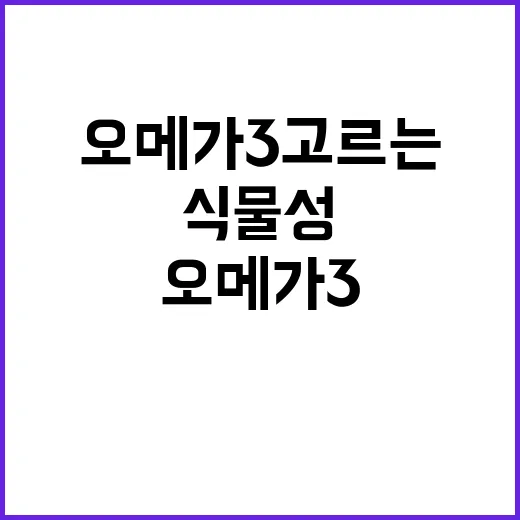 식물성오메가3 고르는 방법, 처음 먹는 분이라면 이렇게 보세요 - 요약