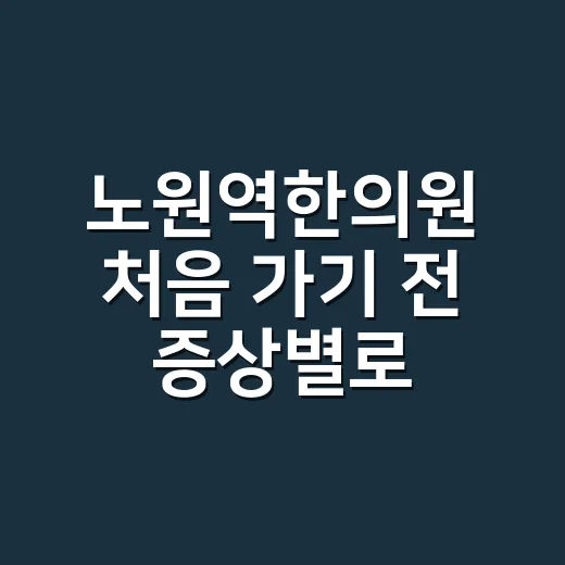 노원역한의원 처음 가기 전 증상별로 확인하는 방법 - 요약