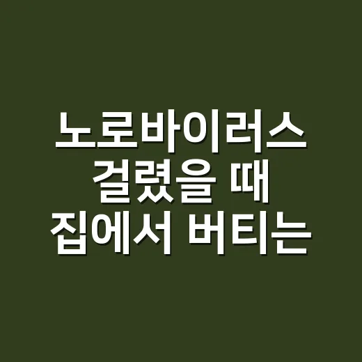 노로바이러스 걸렸을 때 집에서 버티는 방법과 병원 가야 할 때 - 요약