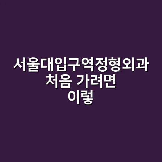 서울대입구역정형외과 처음 가려면 이렇게 준비하면 덜 헤맵니다 - 요약