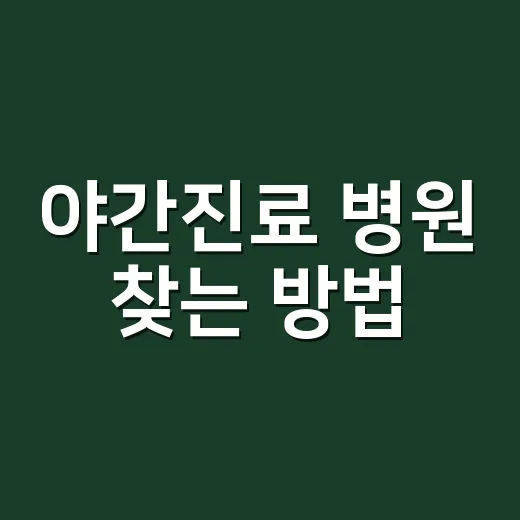 야간진료 병원 찾는 방법, 급할 때 헛걸음 줄이려면 이렇게 - 요약