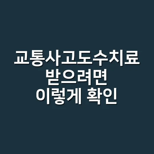 교통사고도수치료 받으려면 이렇게 확인하세요 - 요약