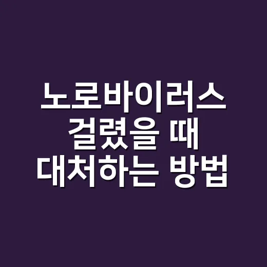노로바이러스 걸렸을 때 대처하는 방법, 전염 막으려면 이렇게 - 요약