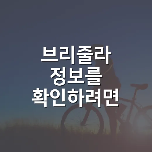 브리줄라 정보를 확인하려면 이렇게 보세요 - 요약