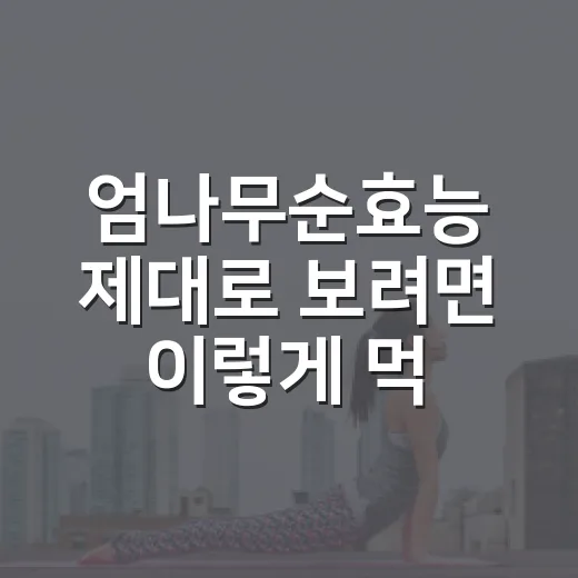 엄나무순효능 제대로 보려면 이렇게 먹고 확인하세요 - 요약