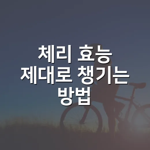 체리 효능 제대로 챙기는 방법, 혈당·통풍·수면이 걱정될 때 이렇게 보세요 - 요약
