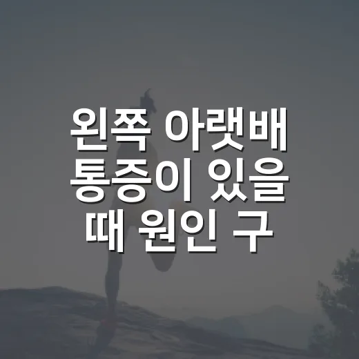 왼쪽 아랫배 통증이 있을 때 원인 구분하고 병원 가는 방법 - 요약